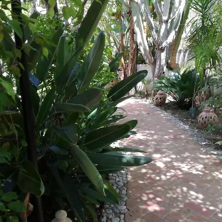 Affittacamere Residenza Spagnola