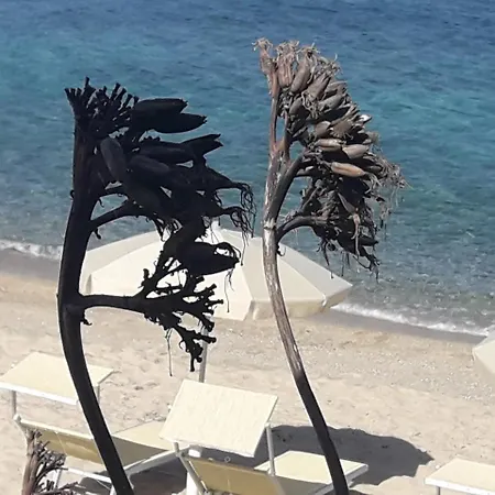 Residenza Spagnola Affittacamere 4*