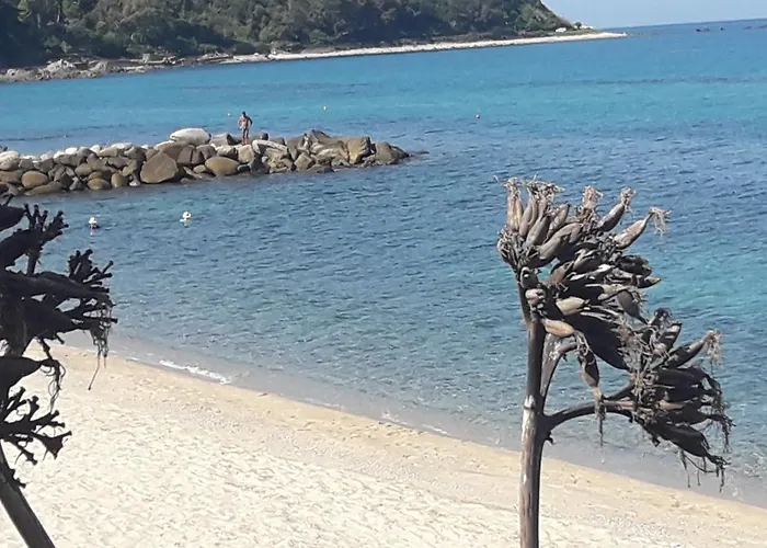 Residenza Spagnola Gasthof 4*